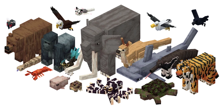 image 16